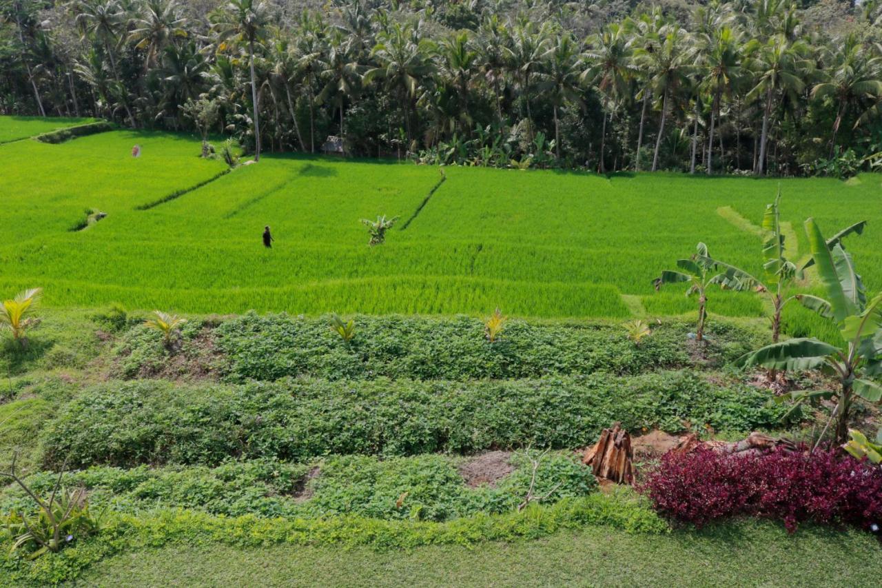 Dlobong Suite Ubud Exterior foto